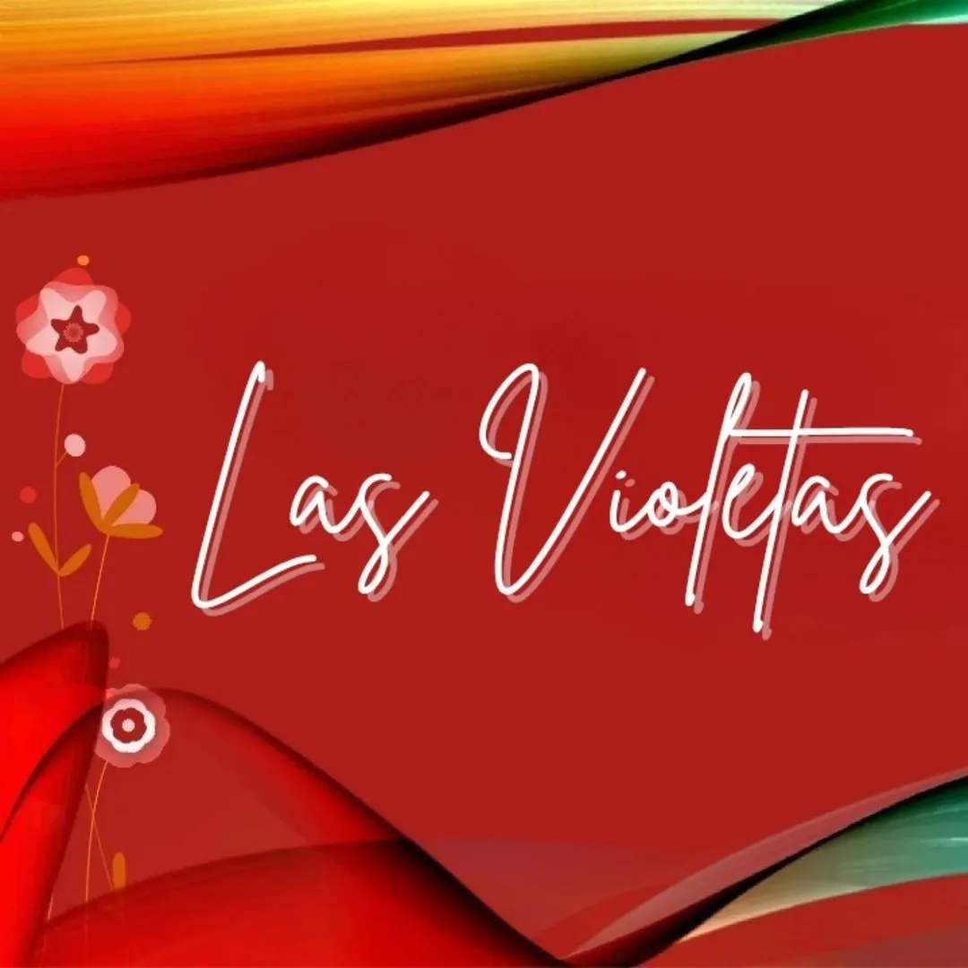 Las Violetas Indumentaria